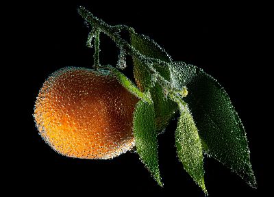 цитрусовые, фрукты, замороженный, апельсины, мороз - обои на рабочий стол
