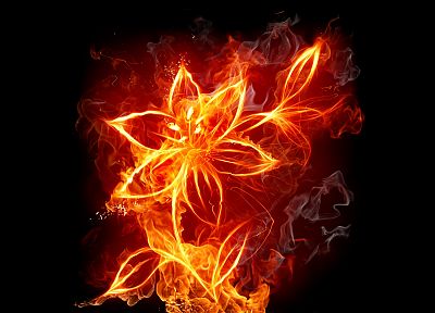 огонь, цветы, огонь, дым, темный фон - случайные обои для рабочего стола