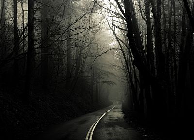 пейзажи, деревья, туман, оттенки серого, дороги, Грег Мартин - случайные обои для рабочего стола