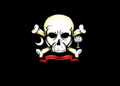 пираты, череп и скрещенные кости - обои на рабочий стол