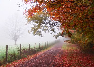 осень, туман, дороги - обои на рабочий стол