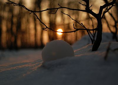зима, снег, Солнце - случайные обои для рабочего стола