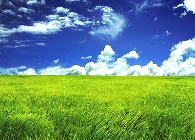 облака, пейзажи, трава, небо - случайные обои для рабочего стола