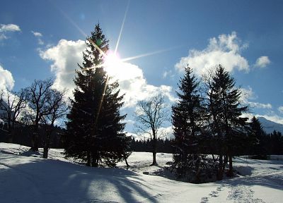 пейзажи, природа, зима, снег, деревья, HDR фотографии - обои на рабочий стол