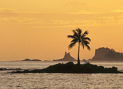закат, океан, острова, кокосовая пальма - копия обоев рабочего стола