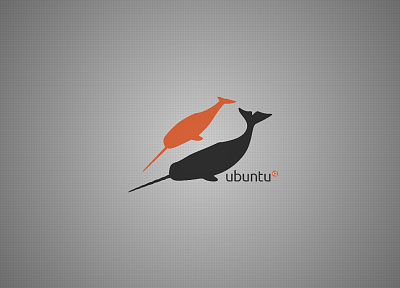 природа, Ubuntu, операционные системы, киты, нарвал, Ubuntu 11.04 Natty Narwhal - копия обоев рабочего стола