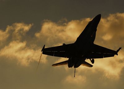 самолет, самолеты, транспортные средства, F- 18 Hornet - случайные обои для рабочего стола