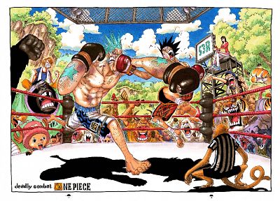 Робин, животные, One Piece ( аниме ), прерыватель, Фрэнки ( One Piece ), Обезьяна D Луффи, Usopp, Санджи ( One Piece ) - похожие обои для рабочего стола