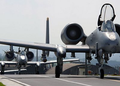самолет, военный, бородавочник, Thunderbolt, А-10 Thunderbolt II - случайные обои для рабочего стола