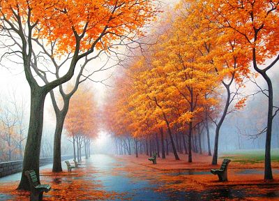 вода, пейзажи, деревья, осень, дождь, оранжевый цвет, листья, туман, скамья, парки - похожие обои для рабочего стола