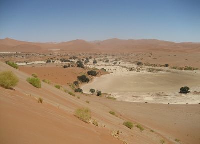 пустыня, песчаные дюны, Африка, кустарники, Пустыня Намиб - копия обоев рабочего стола