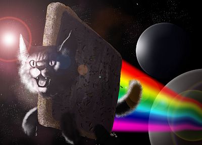 космическое пространство, Nyan Cat, Kingaby - оригинальные обои рабочего стола