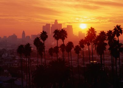Лос-Анджелес, пальмовые деревья - обои на рабочий стол