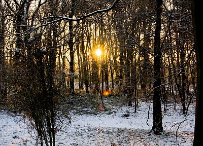 закат, пейзажи, зима, Солнце, леса - случайные обои для рабочего стола