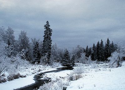 зима, снег, деревья, леса, мороз, реки, ручей - случайные обои для рабочего стола