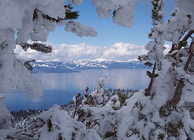 пейзажи, природа, зима, снег, деревья, Tahoe - обои на рабочий стол
