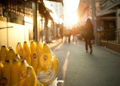 фрукты, солнечный свет, бананы, размытым фоном, городского - обои на рабочий стол