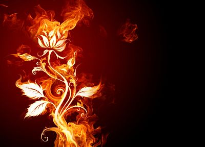 огонь, цветы, огонь, дым, темный фон - случайные обои для рабочего стола
