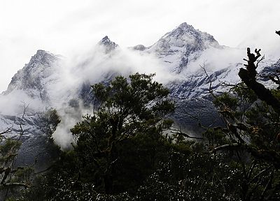 горы, деревья, туман - оригинальные обои рабочего стола