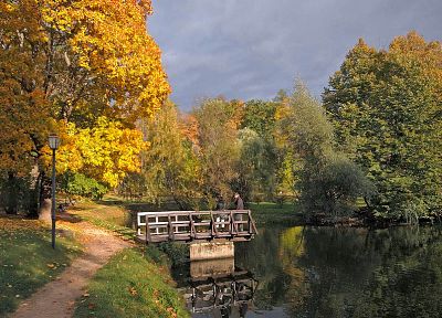 пейзажи, природа, деревья, осень, листья - оригинальные обои рабочего стола