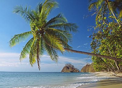пейзажи, природа, Palm Island, пляжи - оригинальные обои рабочего стола