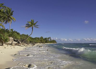 океан, волны, тропический, пальмовые деревья, море, пляжи - обои на рабочий стол
