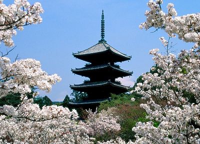 Япония, вишни в цвету, Киото, храмы, Японский архитектура - оригинальные обои рабочего стола