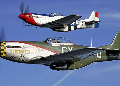 самолет, военный, Вторая мировая война, Warbird, бойцы - случайные обои для рабочего стола