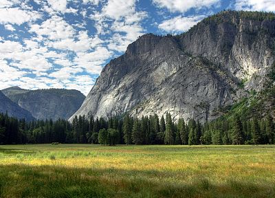 горы, пейзажи, деревья, Йосемитский национальный парк - оригинальные обои рабочего стола