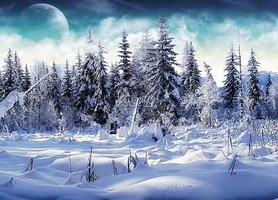 пейзажи, природа, зима, снег, деревья - оригинальные обои рабочего стола