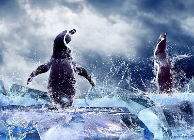 лед, животные, пингвины - обои на рабочий стол
