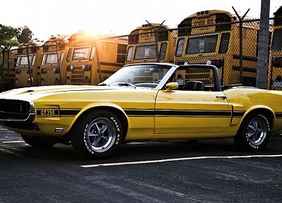 автомобили, мышцы автомобилей, 1969, транспортные средства, Ford Mustang Shelby GT350, старые автомобили, желтые автомобили, Shelby GT350 - случайные обои для рабочего стола