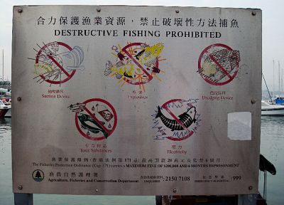 знаки, рыба, рыбалка - обои на рабочий стол