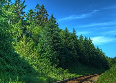 деревья, леса, железные дороги - случайные обои для рабочего стола