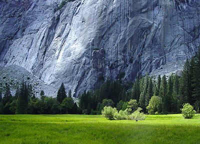 горы, природа, деревья, трава, скалы, Йосемитский национальный парк - обои на рабочий стол