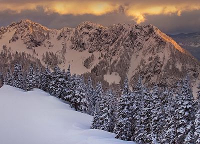 горы, природа, зима, снег, деревья - обои на рабочий стол