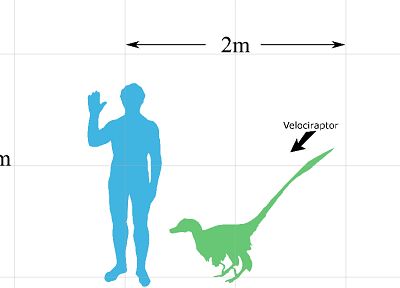 динозавры, Велоцираптор, упрощенный - похожие обои для рабочего стола