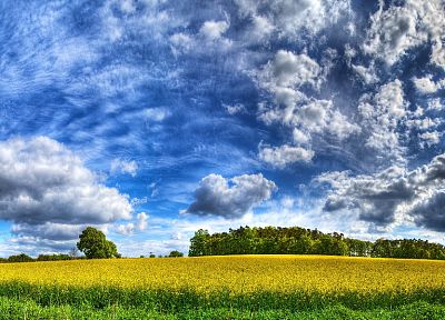 облака, пейзажи, трава, поля, HDR фотографии - оригинальные обои рабочего стола
