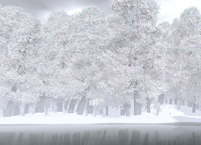 природа, зима, снег, деревья, монохромный - обои на рабочий стол
