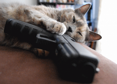 пистолеты, кошки - обои на рабочий стол