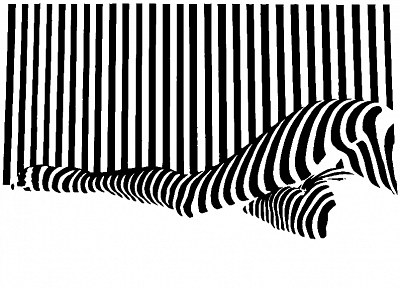 черно-белое изображение, полосы - копия обоев рабочего стола