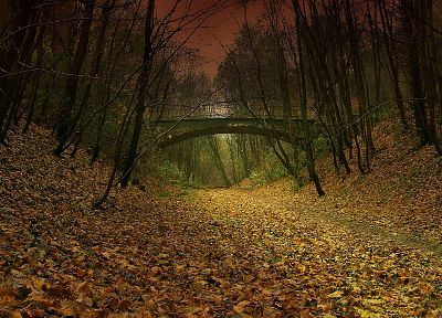 природа, осень, пути, Falling Down ( фильм ), опавшие листья - обои на рабочий стол