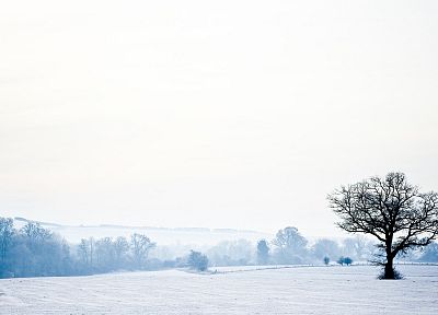 зима, Англия, чудес, сельская местность - обои на рабочий стол