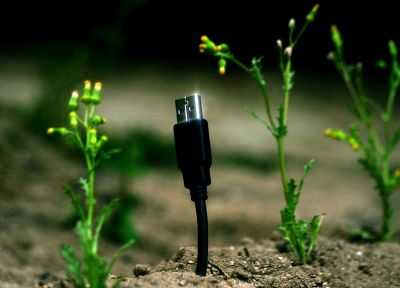 USB, растения - копия обоев рабочего стола