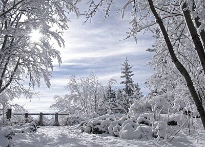 пейзажи, природа, зима, снег, деревья, горизонты, заборы - оригинальные обои рабочего стола