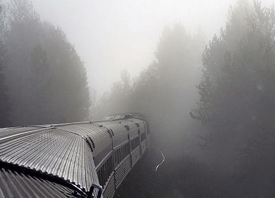 деревья, поезда, туман, туман - обои на рабочий стол