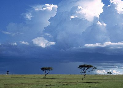 пейзажи, буря, национальный, мара, Африка, Кения, саванна - оригинальные обои рабочего стола
