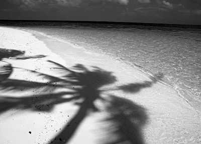 вода, песок, Noir, тени, монохромный, пальмовые деревья, пляжи - обои на рабочий стол