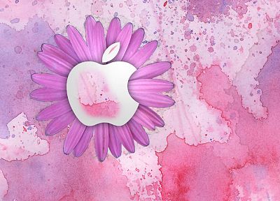 розовый цвет, Эппл (Apple) - популярные обои на рабочий стол