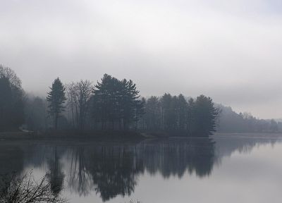 вода, деревья, туман, туман, озера, реки, отражения - случайные обои для рабочего стола